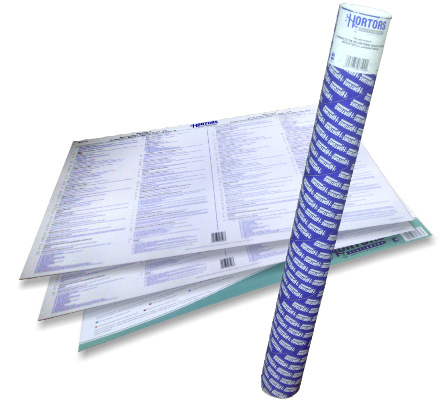 Employment Equity Act