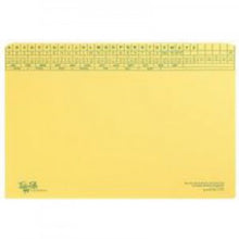 Tidy Files Custodian Medium Weight With Tri-Clip
