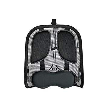 Professional Series - Mesh Back Support | Ergonomics