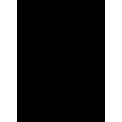 Black Board A4 250gsm - 100 Sheets | Board Colours