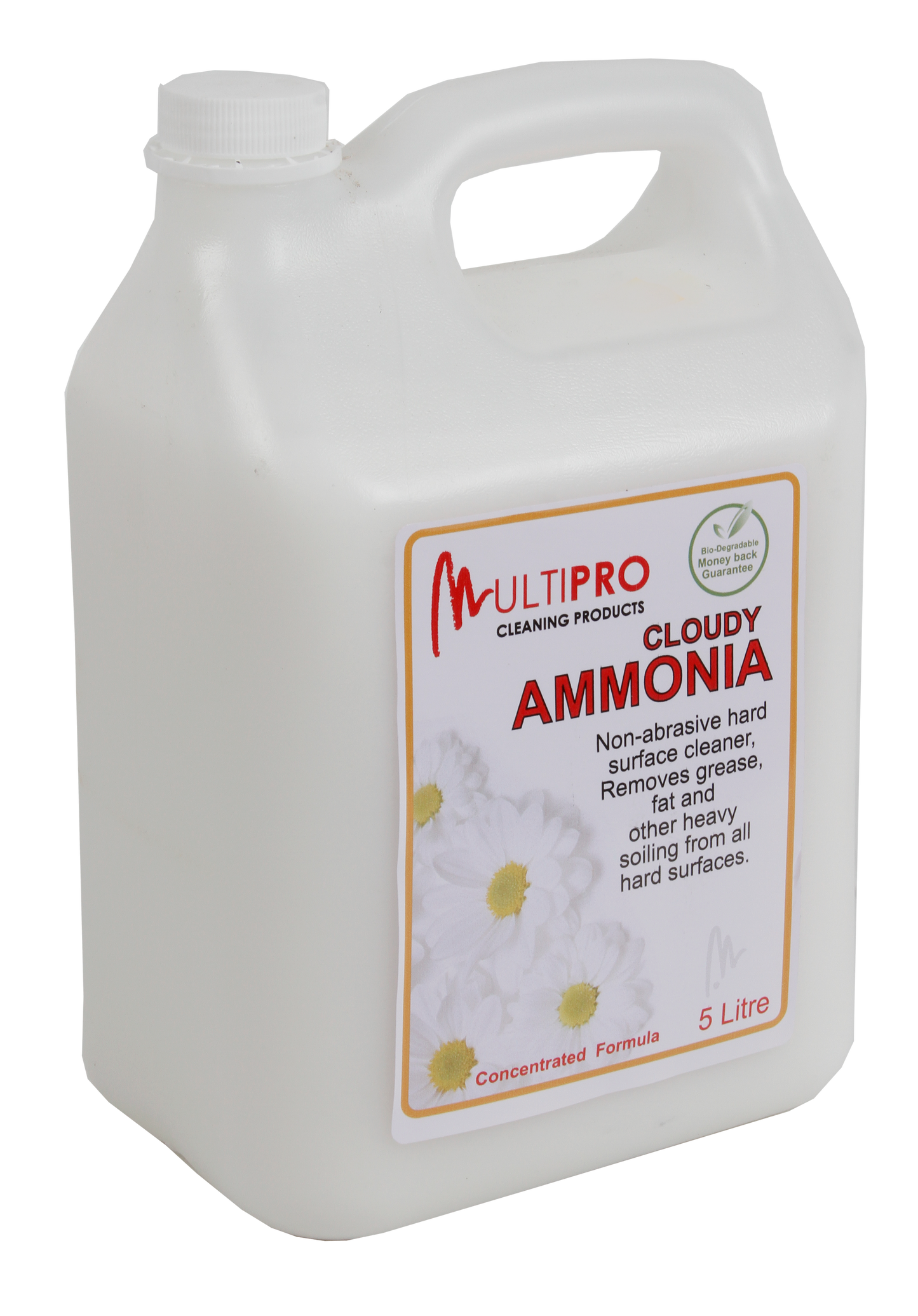 MULTIPRO CLOUDY AMMONIA 5L | PPE