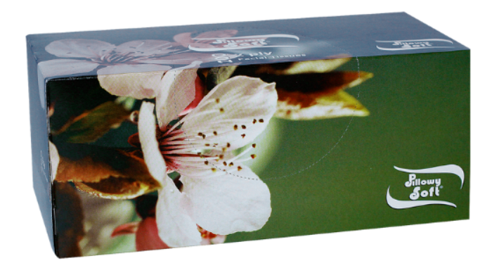 Tissues White 2Ply Box 200 | Toilet Rolls and Tissues