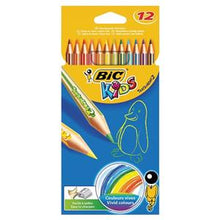 Bic Tropicolour 12's Pencils