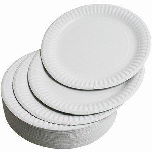 PAPER PLATES 100'S | Kitchen Utensils