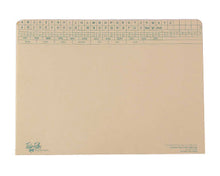 Tidy Files Custodian Heavy Duty With Flap | Top Retrieval System - Files